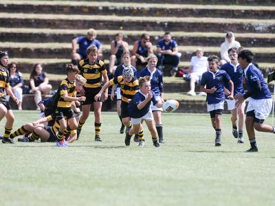 NRFC WLG 150 19 800