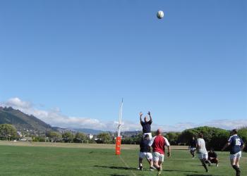 Lineout